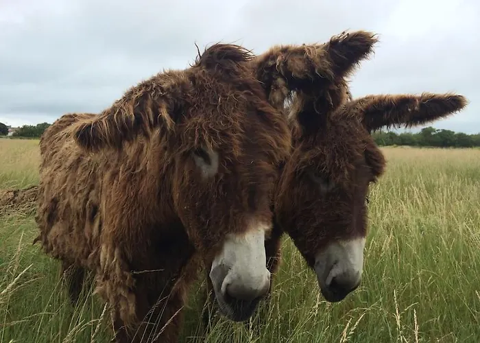 Maison Retaise Au Coeur Du Village D'ars En Re *